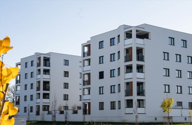 dve-veze-1